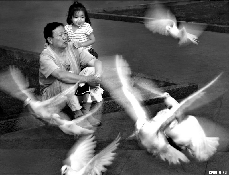 陈世海_鸽子飞起_乌鲁木齐.jpg 陈世海_鸽子飞起_乌鲁木齐.jpg