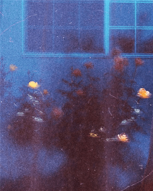 1 (13)