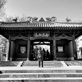 入佛知见
