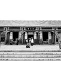 西花庭