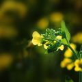 我的相冊(cè)