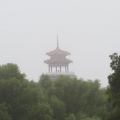 雾中公园
