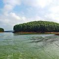 海上松林