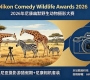 一周双人肯尼亚摄影游猎假期+尼康相机套装！026年尼康幽默野生动物摄影大赛 ...