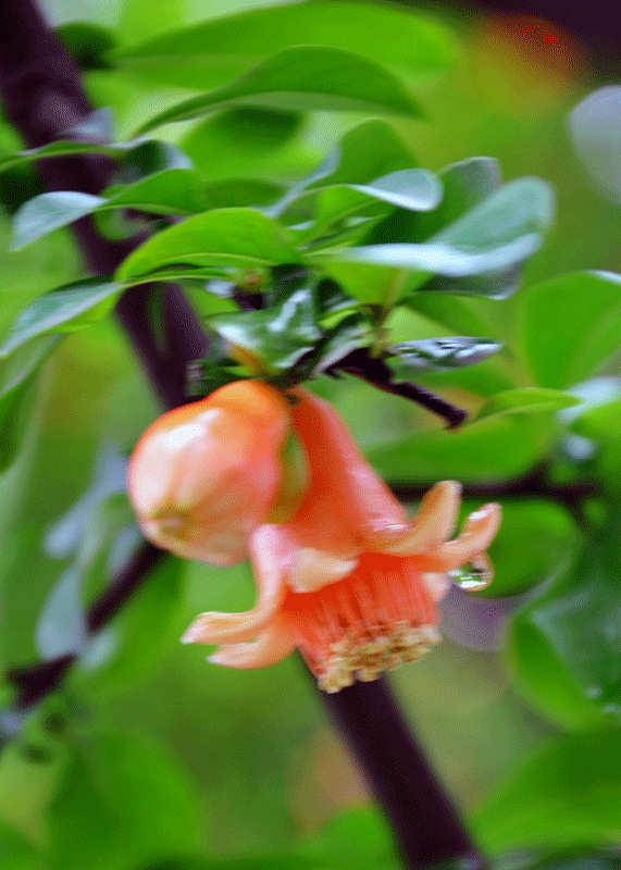 DSC_0801 1.gif