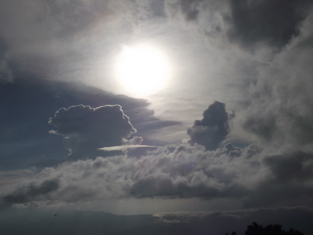 DSCF0371.JPG
