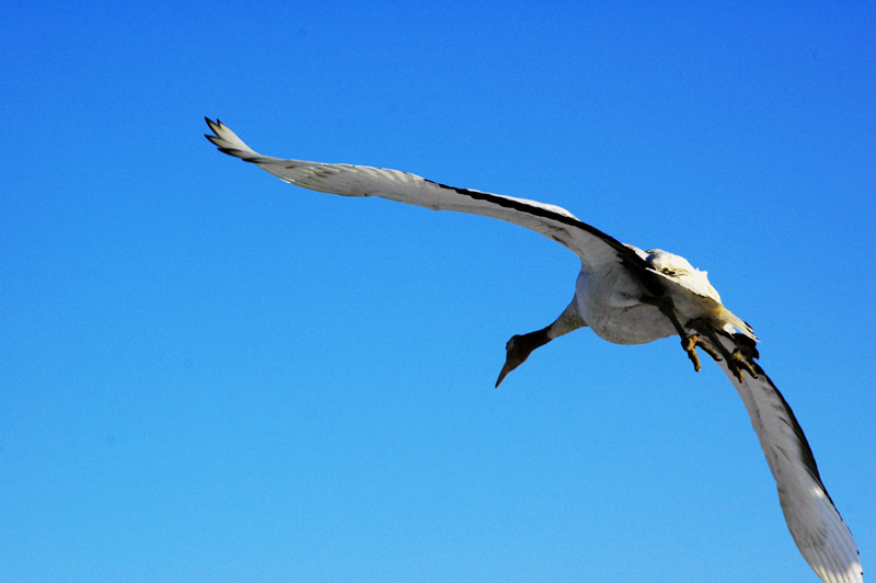 DSC_2477.jpg