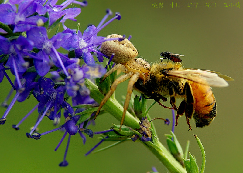 IMGP6351 拷贝.jpg