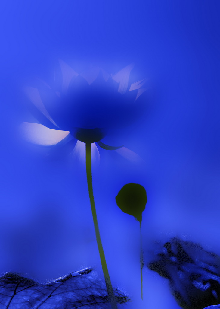 DSC02015 副本.jpg