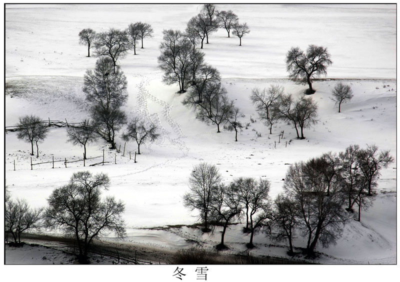 DSC_唐志常今秋坝上 (35).jpg