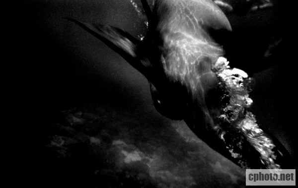 ds2011-1111-01-21.jpg