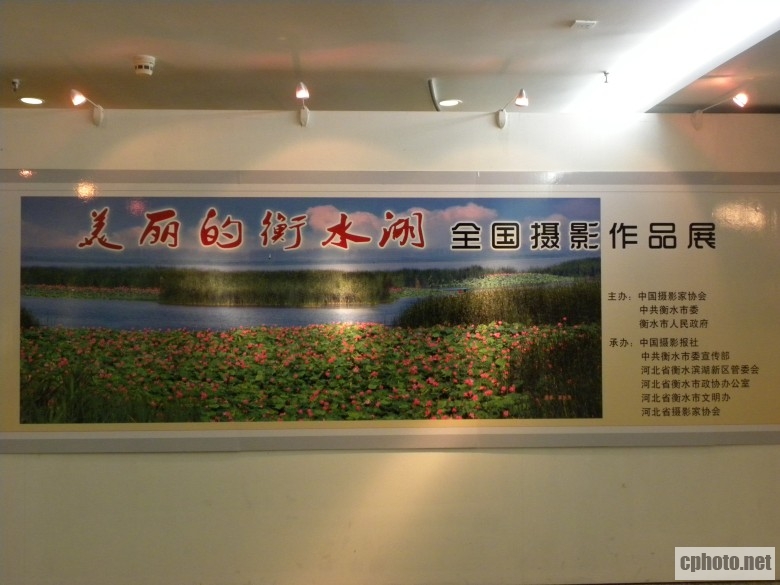 DSCN6714_conew1.jpg