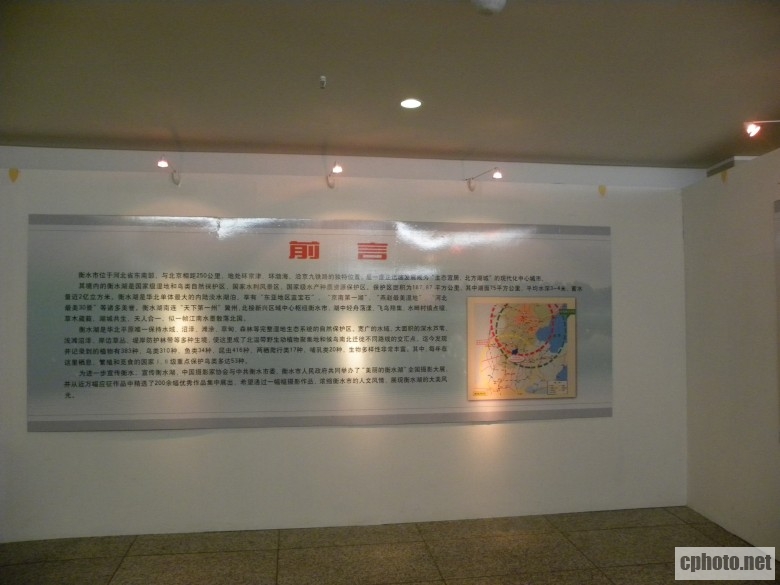 DSCN6750_conew1.jpg