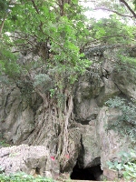 家乡的水洞