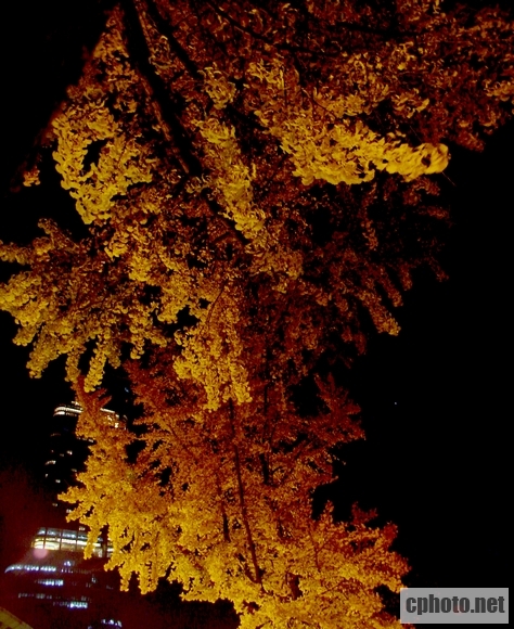 DSC03345.jpg