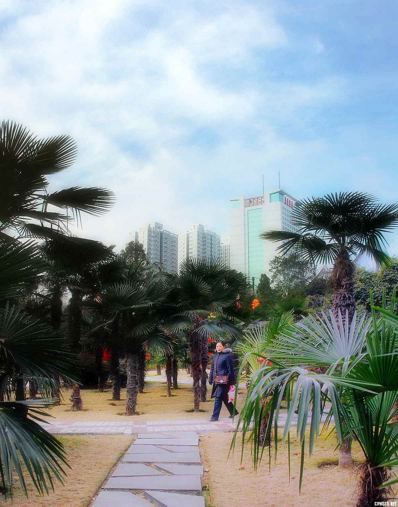 2965-2967_全景图04A111.jpg
