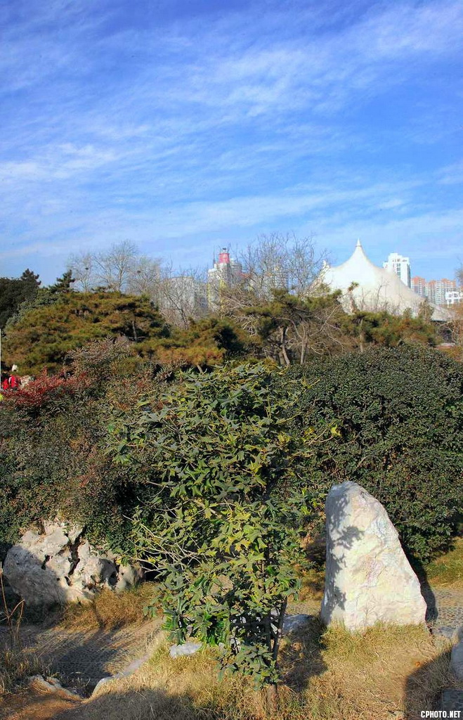 3021-3023_全景图15A111.jpg