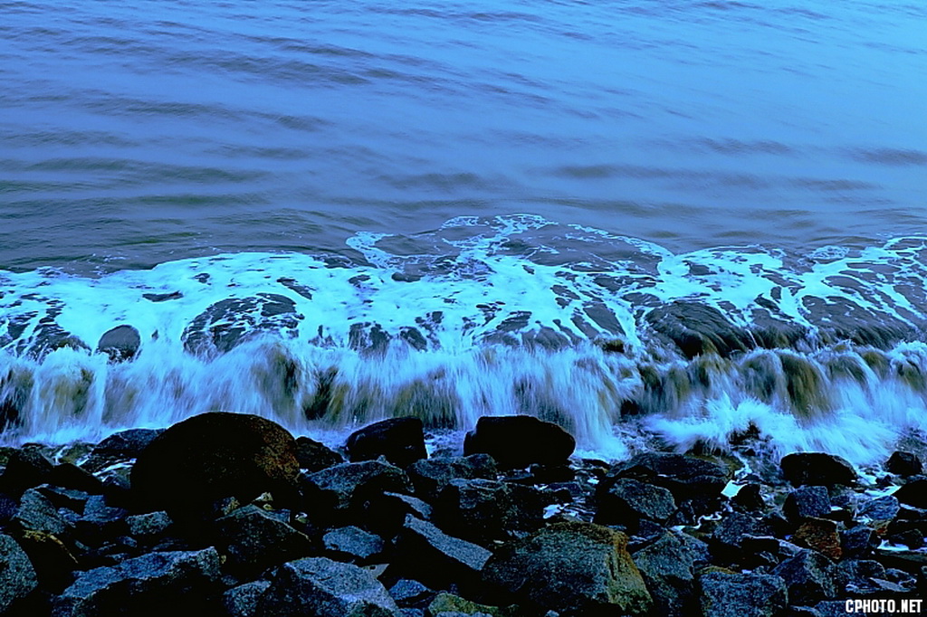 2012_01_08_4684.JPG