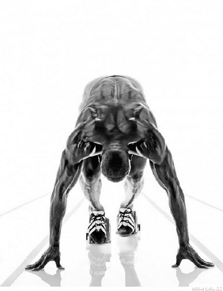 sy2012-0116-02-7.jpg