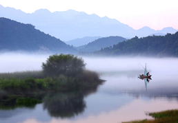FIAP丝带奖