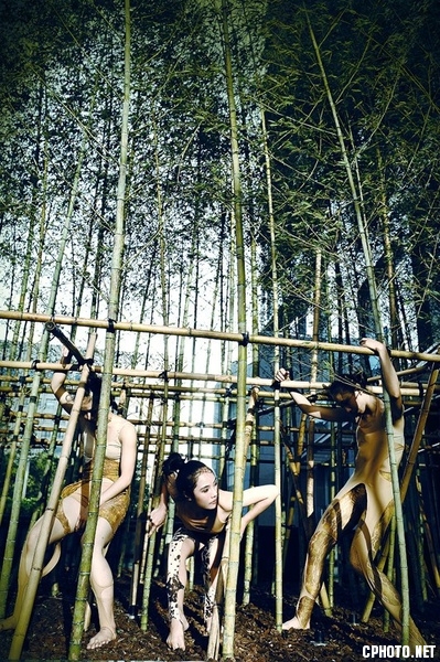 37_new_gallery_b_600_600.jpg