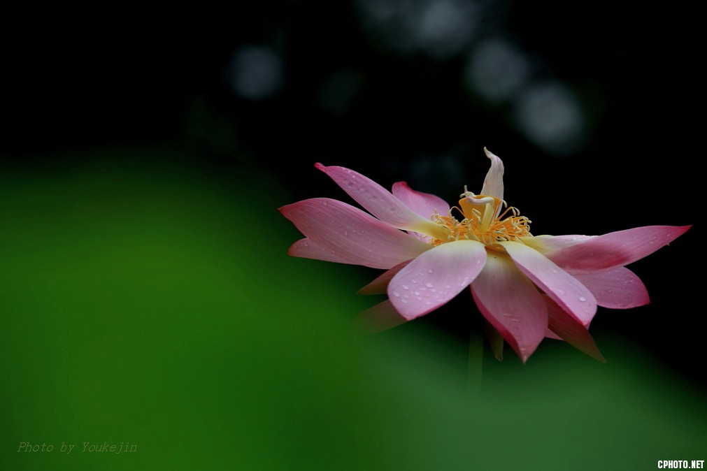 IMG_146d.jpg