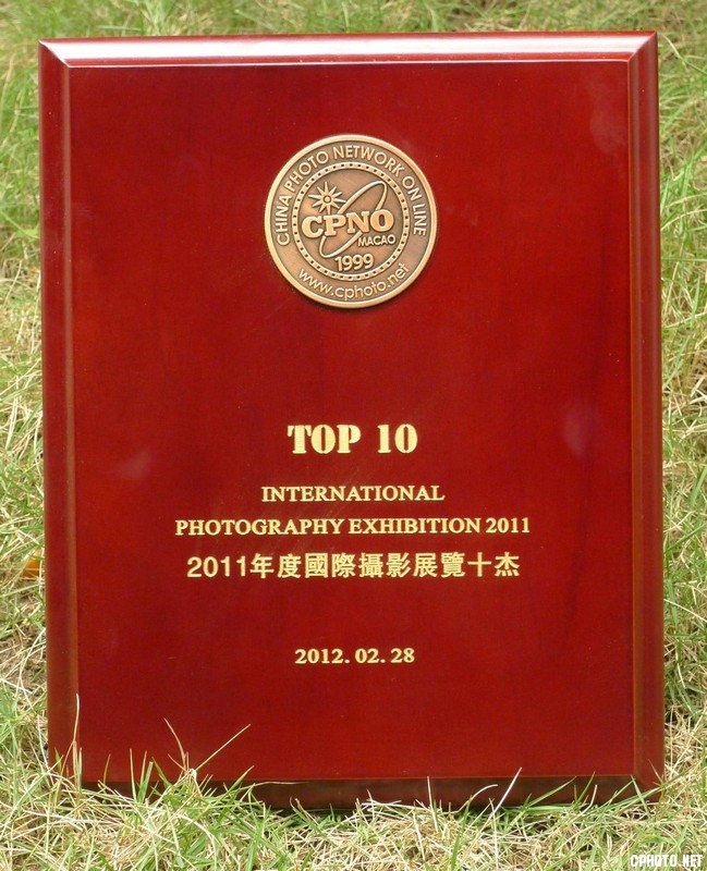 P1080253.jpg