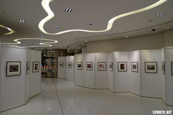 wns-06.jpg