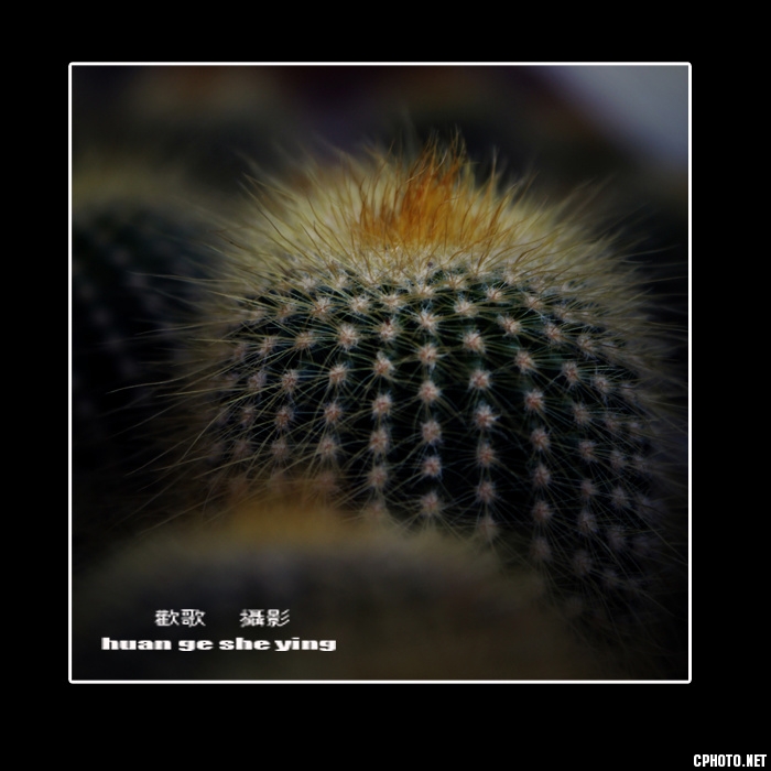 1271397529707_mthumb.jpg