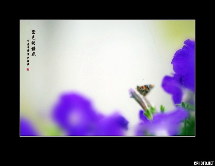 e_1f66e7acc2a0105b.jpg