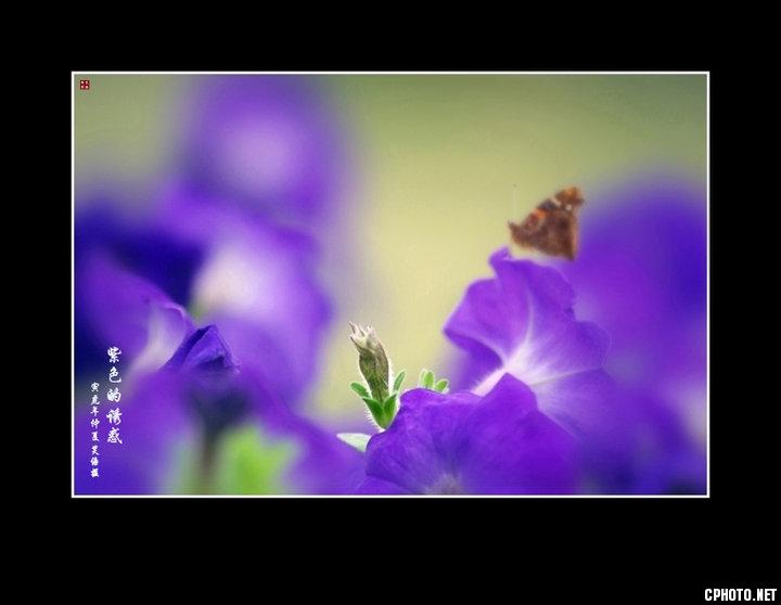 e_fc430f99ed211d41.jpg