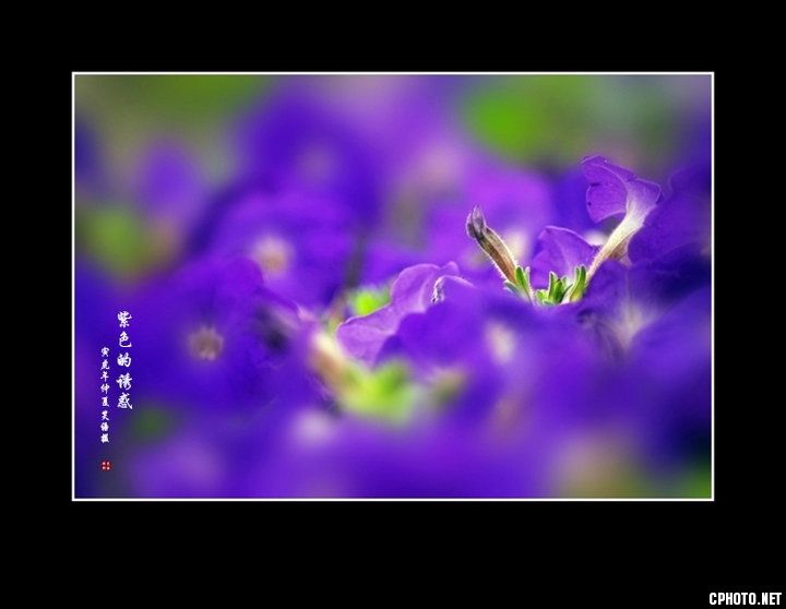 e_b0266a61f8165fb1.jpg