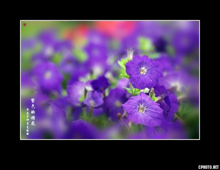 e_3f251bea5f543d85.jpg