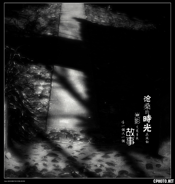 e_78f2bfcb531b2400.jpg