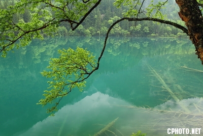DPP_T0248.JPG