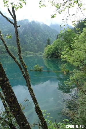 DPP_T0249.JPG