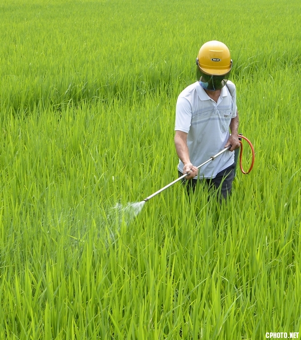 打药