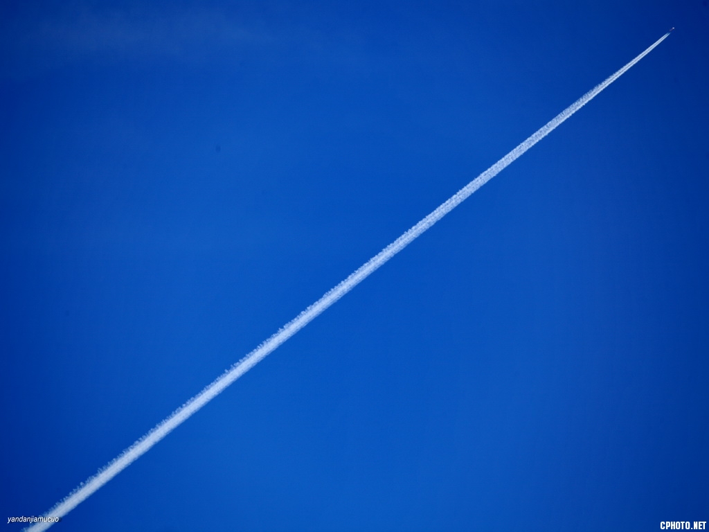 **_1D 5222084.JPG