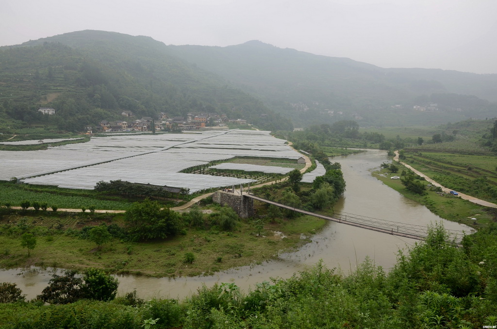 烟雨南盘0009_副本.jpg