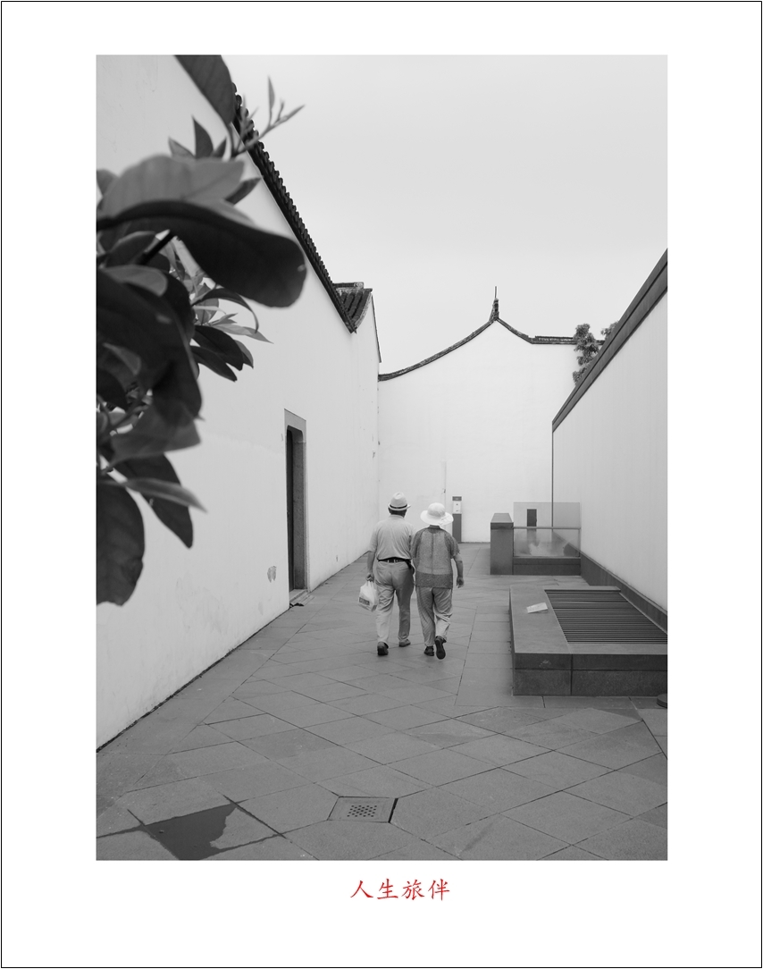 人生旅伴.JPG