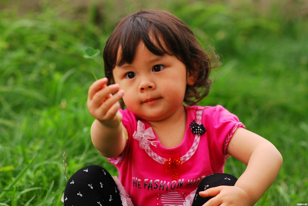 2012 002_.jpg
