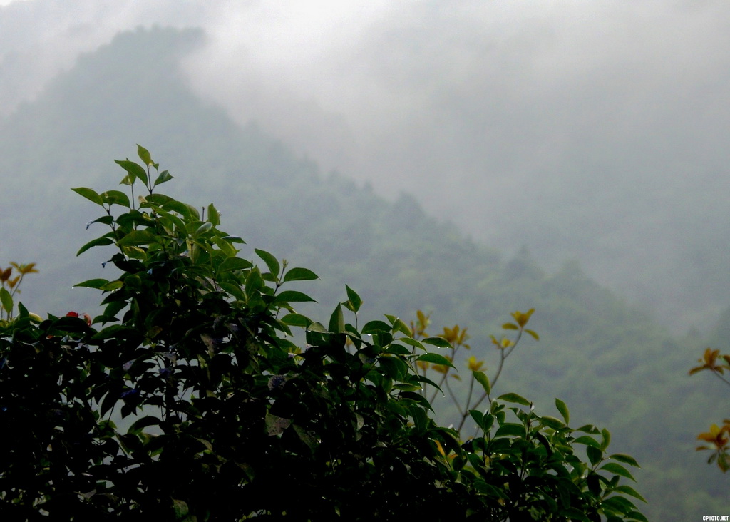 牛背梁小景