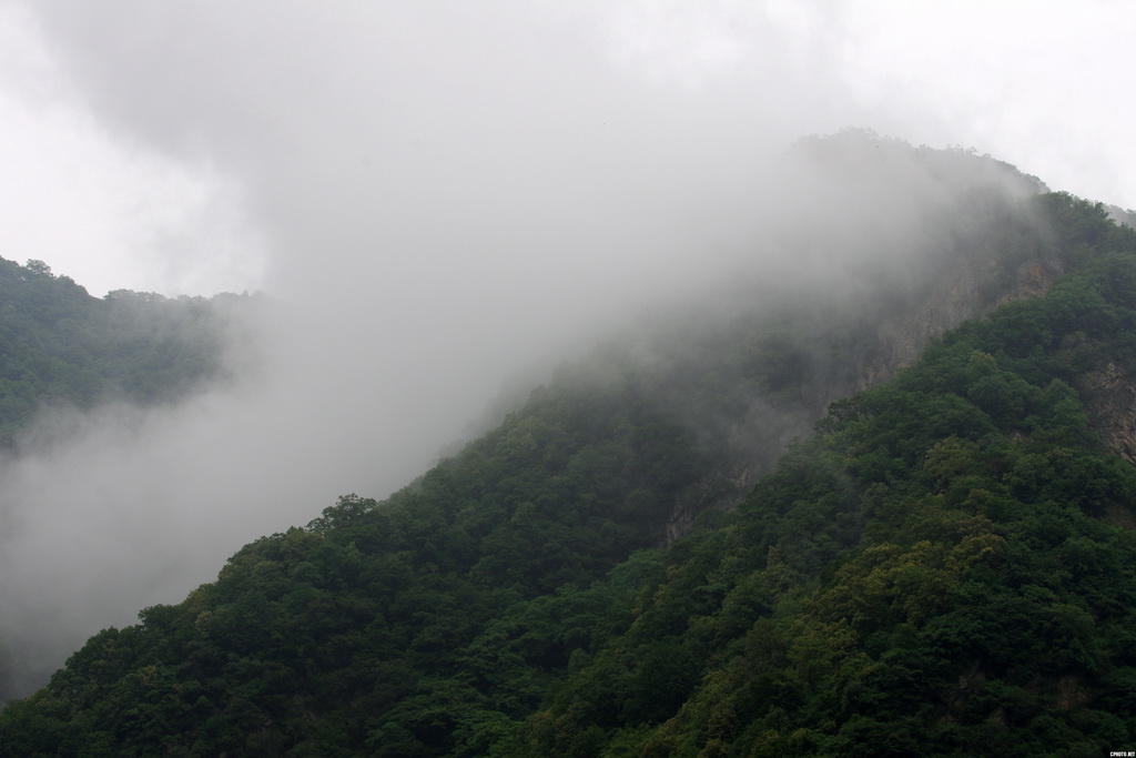 牛背梁小景
