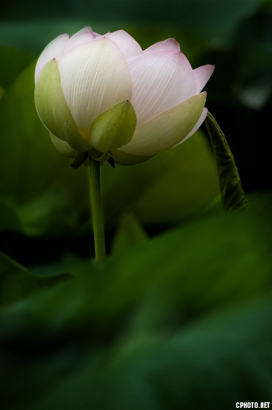 DSC_0876.jpg