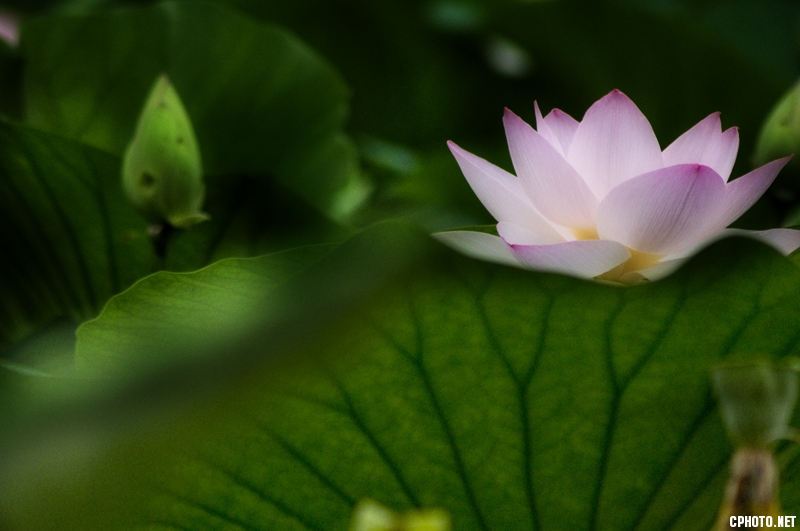 DSC_0885.jpg