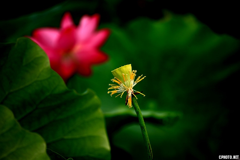 img_0314_副本.jpg