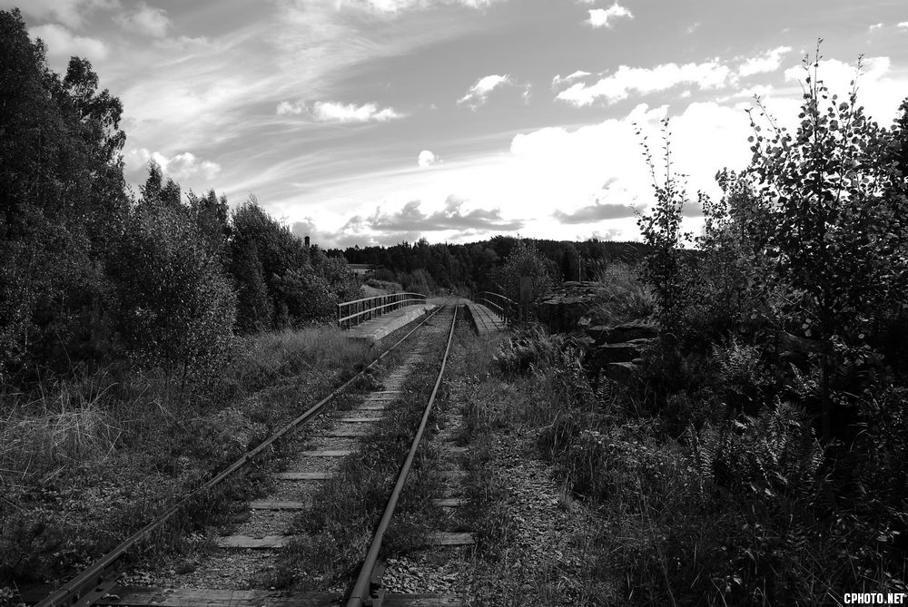 DSC_9638.jpg