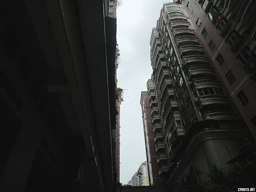 DSC04235.jpg