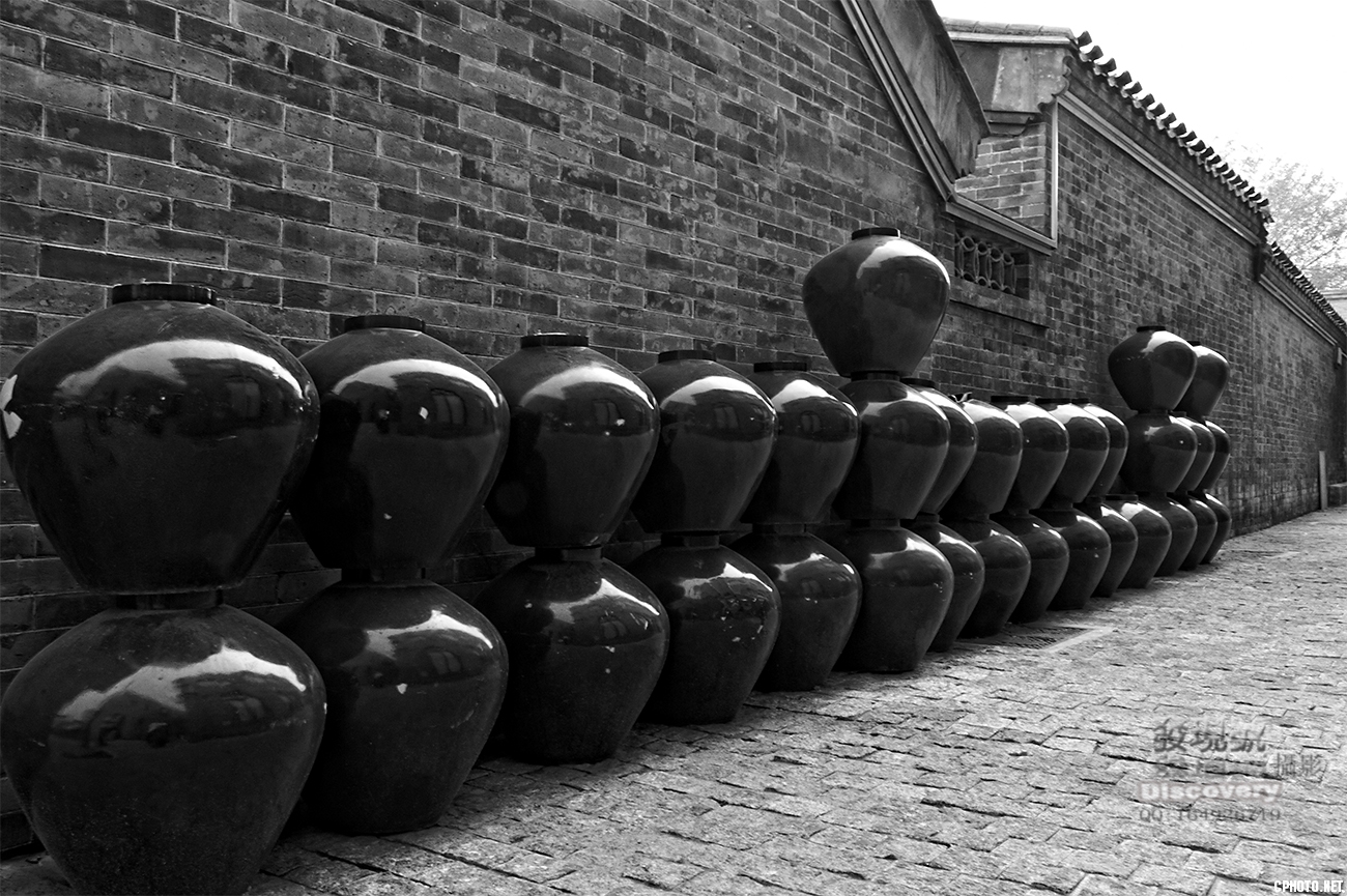 _DSC0090 .jpg