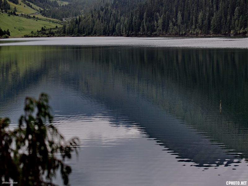 **_5D ydjmc06981.JPG